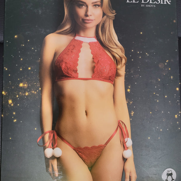 Le Désir- Snow angel lace lingerie set