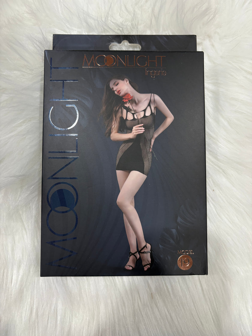 Moonlight-Model 19