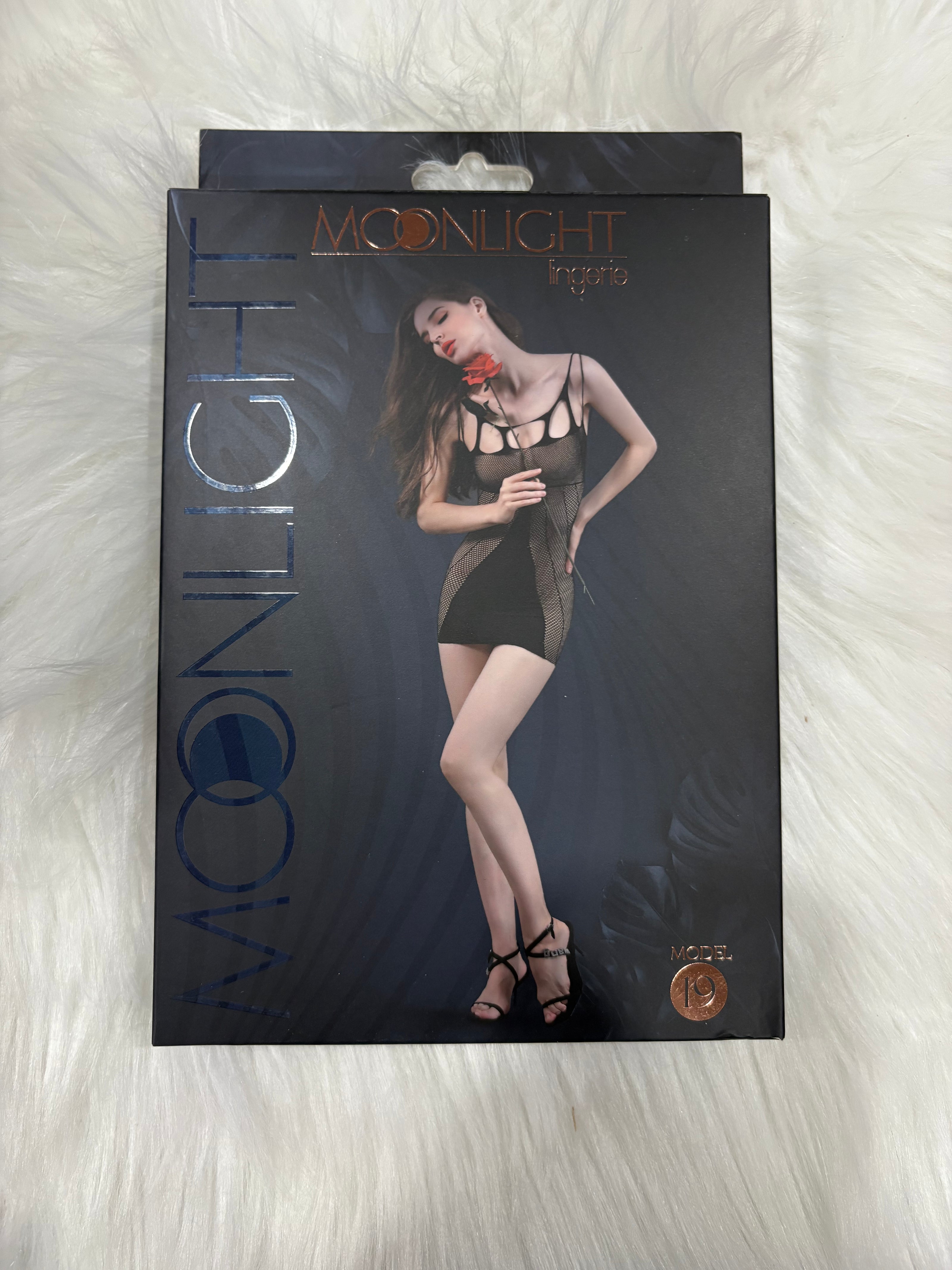 Moonlight-Model 19