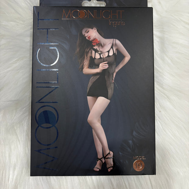 Moonlight-Model 19