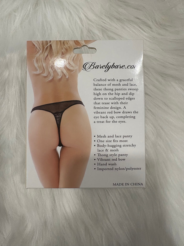 Barely Bare- Mesh and lace panty