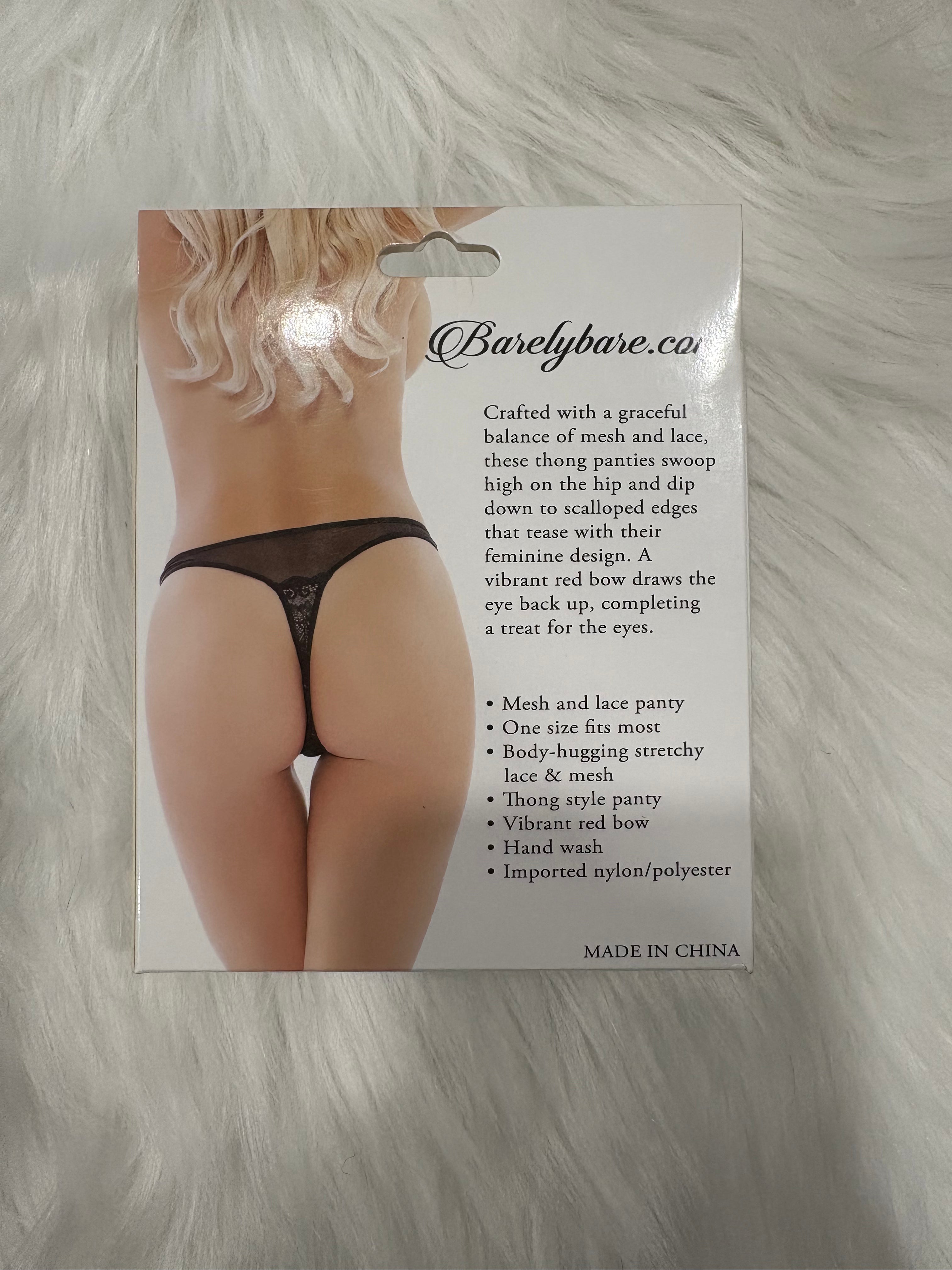Barely Bare- Mesh and lace panty