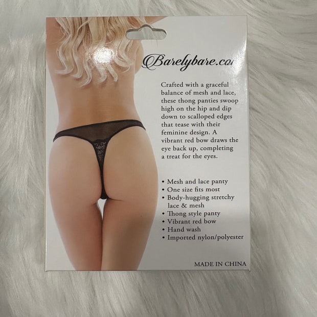 Barely Bare- Mesh and lace panty