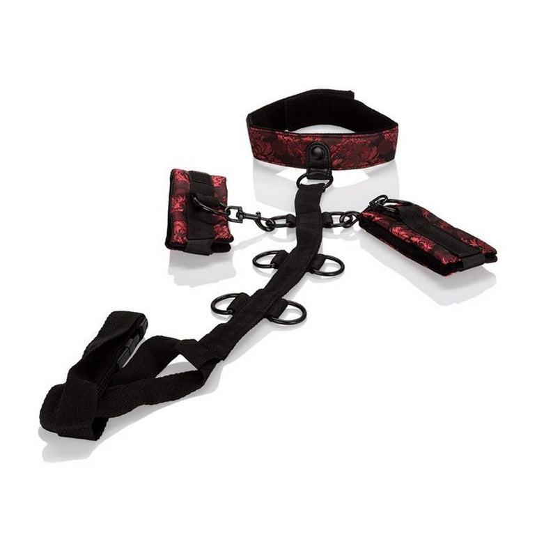 Collier Scandal - Dispositifs de contention corporelle