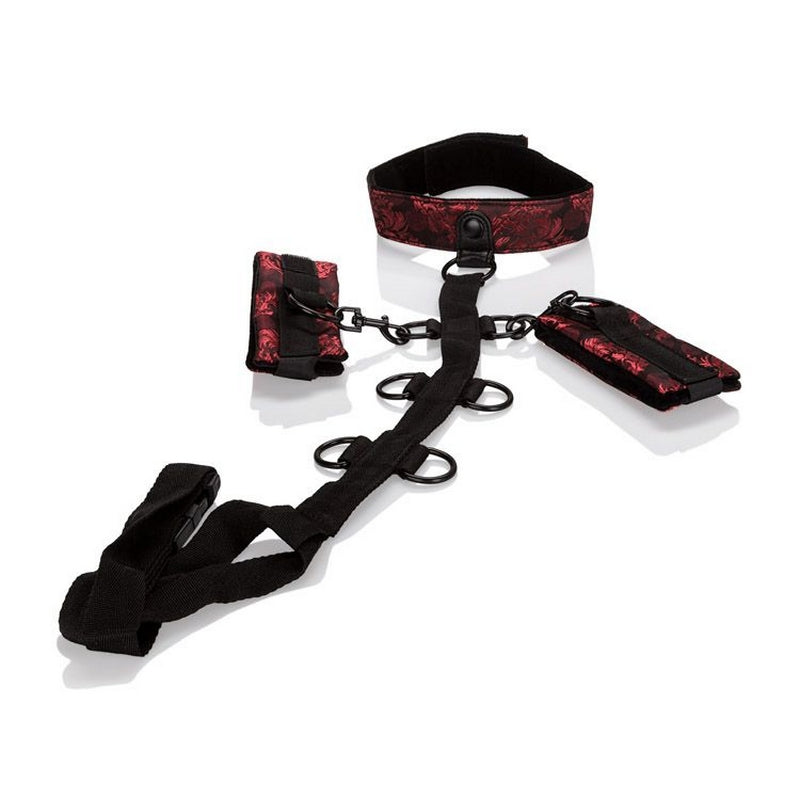 Collier Scandal - Dispositifs de contention corporelle