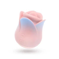 Collection Blush - Kissing Rose - Rose