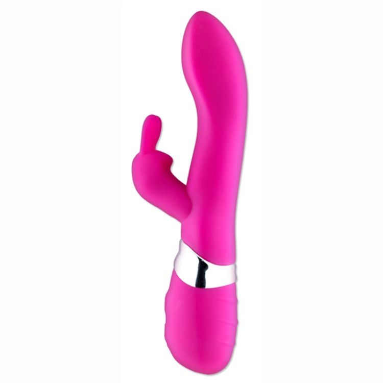 Image de CHANI RECHARGEABLE ROSE