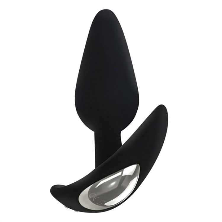 Image de ADAM & EVE'S RECHARGEABLE VIBRATING ANAL PLUG