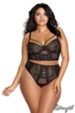 Image de DG12163 - Black