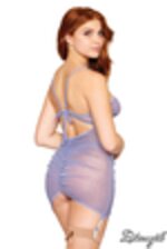 Image de DG13276 - Lilac