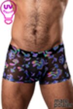 Image de MP145-294 - Rainbow