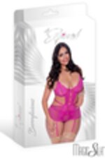 Image de MSM345 - Raspberry